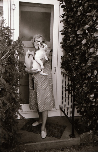 Click to see PIC 7-CARTER 7-14 of Dean Lawrence and Cats (PIC 7-CARTER 7)