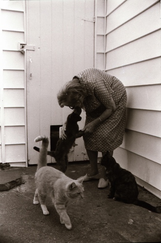Click to see PIC 7-CARTER 7-17 of Dean Lawrence and Cats (PIC 7-CARTER 7)