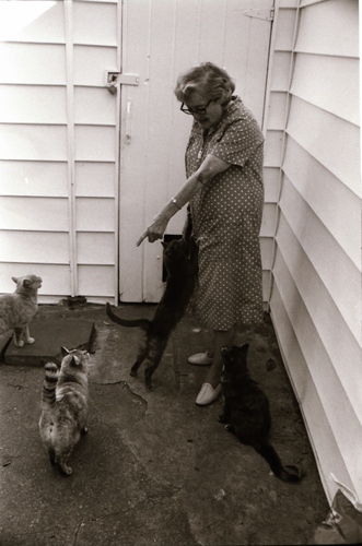 Click to see PIC 7-CARTER 7-18 of Dean Lawrence and Cats (PIC 7-CARTER 7)