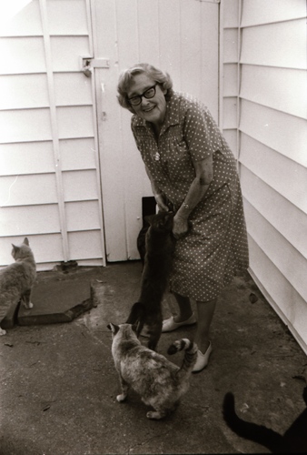 Click to see PIC 7-CARTER 7-19 of Dean Lawrence and Cats (PIC 7-CARTER 7)