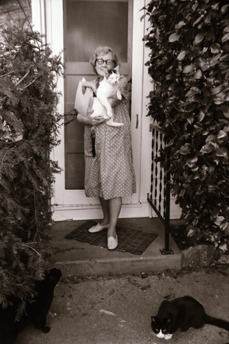 Click to see PIC 7-CARTER 7-20 of Dean Lawrence and Cats (PIC 7-CARTER 7)
