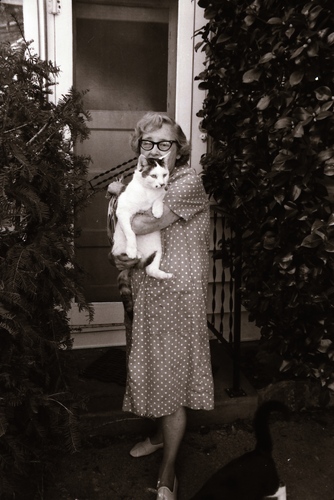 Click to see PIC 7-CARTER 7-21 of Dean Lawrence and Cats (PIC 7-CARTER 7)