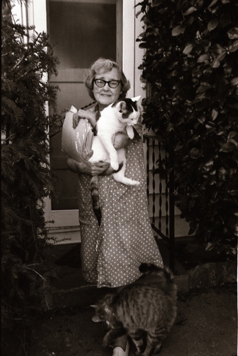 Click to see PIC 7-CARTER 7-22 of Dean Lawrence and Cats (PIC 7-CARTER 7)