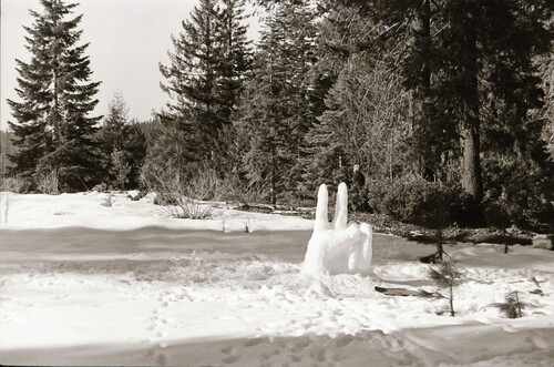 Click to see PIC 7-CARTER 64-21 of Donner Summit Snow Removal and La Porte (PIC 7-CARTER 64)