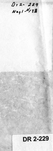 Back of Photo Back of Photo
