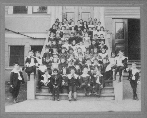DR 3-81