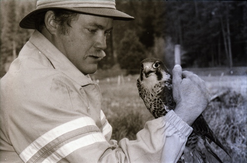 Click to see PIC 7-CARTER 3-1 of Falcon and Eagle Portraits (PIC 7-CARTER 3)