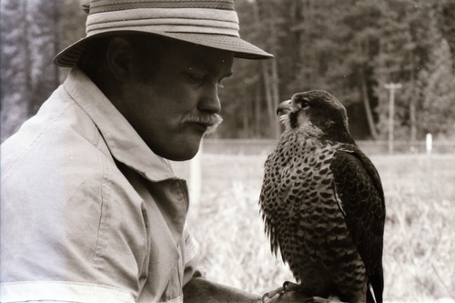 Click to see PIC 7-CARTER 3-15 of Falcon and Eagle Portraits (PIC 7-CARTER 3)