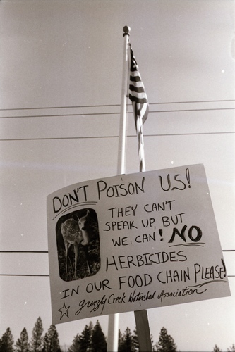 Click to see PIC 7-CARTER 35-13 of Forest Service Protest (PIC 7-CARTER 35)