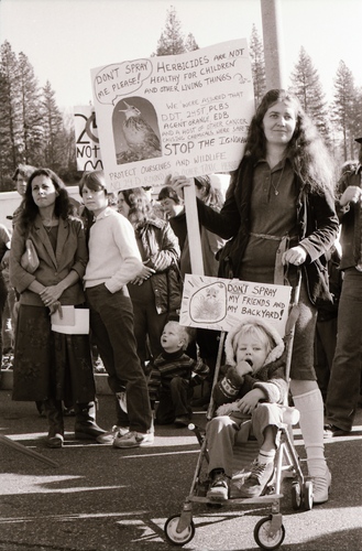 Click to see PIC 7-CARTER 35-19 of Forest Service Protest (PIC 7-CARTER 35)