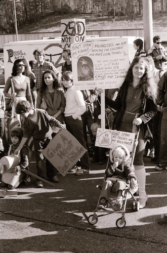 Click to see PIC 7-CARTER 35-20 of Forest Service Protest (PIC 7-CARTER 35)