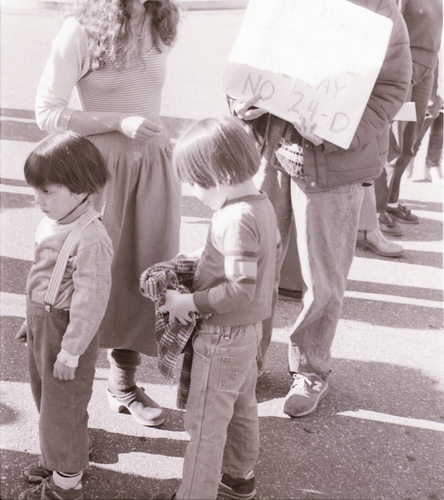 Click to see PIC 7-CARTER 35-25 of Forest Service Protest (PIC 7-CARTER 35)