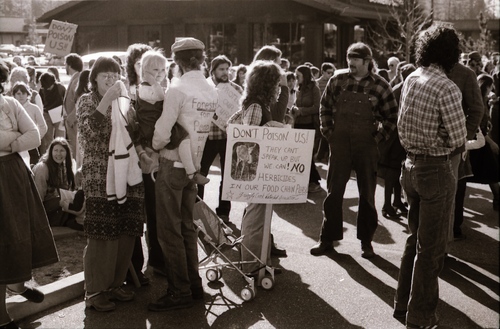 Click to see PIC 7-CARTER 35-26 of Forest Service Protest (PIC 7-CARTER 35)