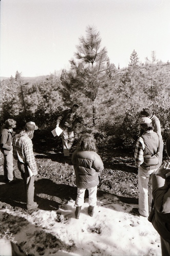 Click to see PIC 7-CARTER 35-31 of Forest Service Protest (PIC 7-CARTER 35)