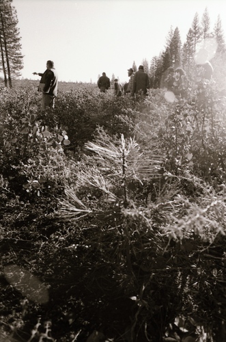 Click to see PIC 7-CARTER 35-34 of Forest Service Protest (PIC 7-CARTER 35)