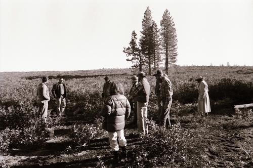 Click to see PIC 7-CARTER 35-40 of Forest Service Protest (PIC 7-CARTER 35)
