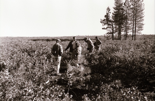 Click to see PIC 7-CARTER 35-41 of Forest Service Protest (PIC 7-CARTER 35)
