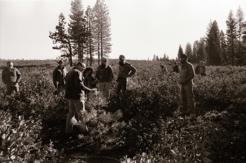 Click to see PIC 7-CARTER 35-42 of Forest Service Protest (PIC 7-CARTER 35)