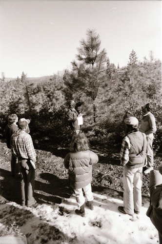 Click to see PIC 7-CARTER 35-44 of Forest Service Protest (PIC 7-CARTER 35)
