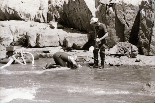 Gold Mining at Edward\'s Crossing (PIC 7-CARTER 23)