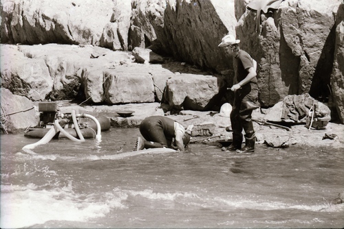 Click to see PIC 7-CARTER 23-7 of Gold Mining at Edward's Crossing (PIC 7-CARTER 23)