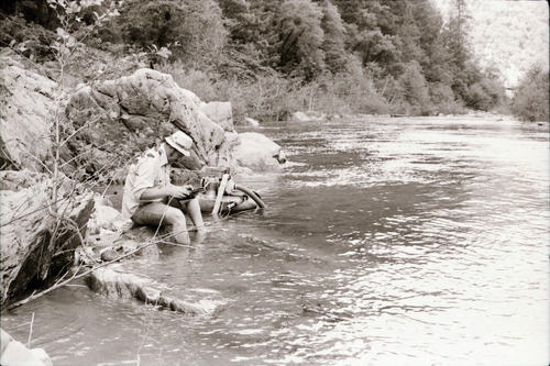 Click to see PIC 7-CARTER 23-21 of Gold Mining at Edward's Crossing (PIC 7-CARTER 23)