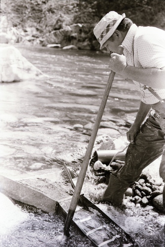 Click to see PIC 7-CARTER 24-9 of Gold Sluicing and Dredging (PIC 7-CARTER 24)