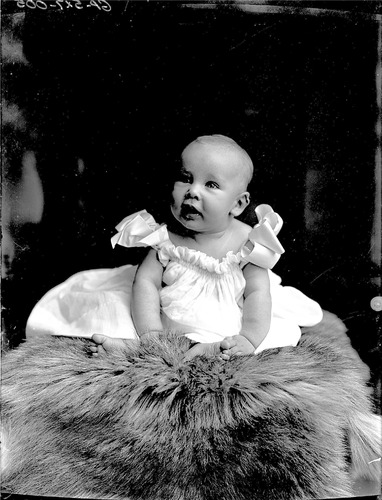 Click to see GP-5X7-5 of Moore Glass Plate Collection (GP-)