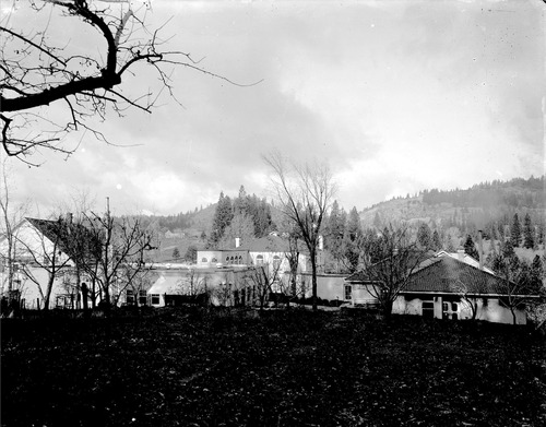 Click to see GP-8X10-19 of Moore Glass Plate Collection (GP-)