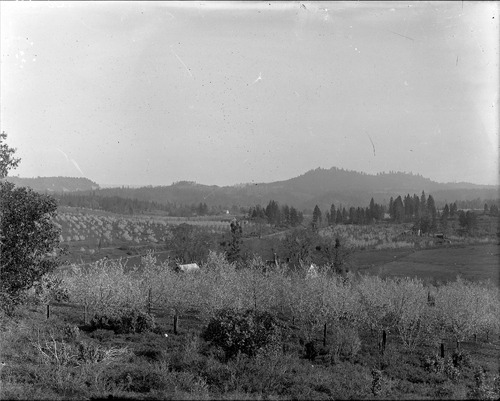 Click to see GP-8X10-20 of Moore Glass Plate Collection (GP-)