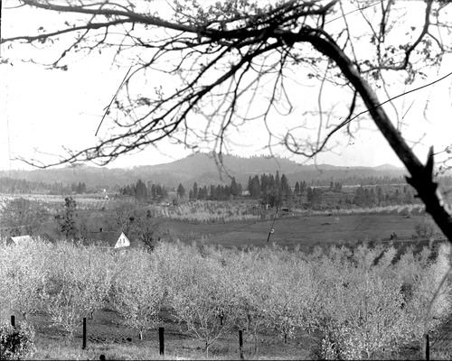 Click to see GP-8X10-24 of Moore Glass Plate Collection (GP-)
