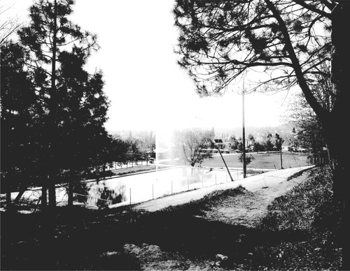 Click to see GP-8X10-47 of Moore Glass Plate Collection (GP-)