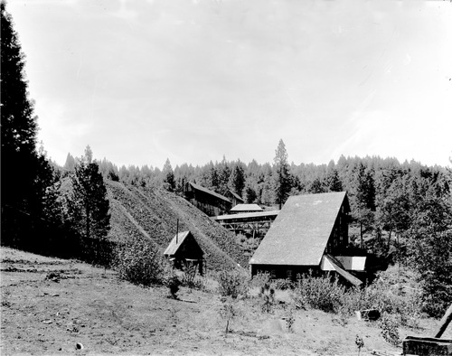 Click to see GP-8X10-48 of Moore Glass Plate Collection (GP-)