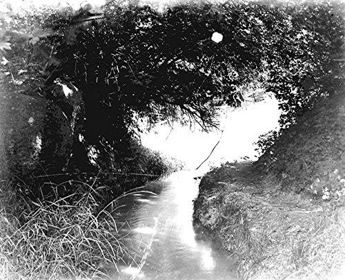 Click to see GP-62 of Moore Glass Plate Collection (GP-)