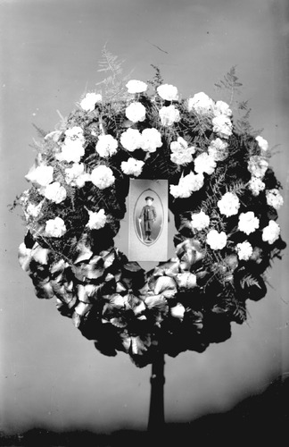 Click to see GP-88 of Moore Glass Plate Collection (GP-)