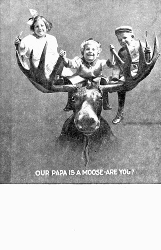 Click to see GP-96 of Moore Glass Plate Collection (GP-)
