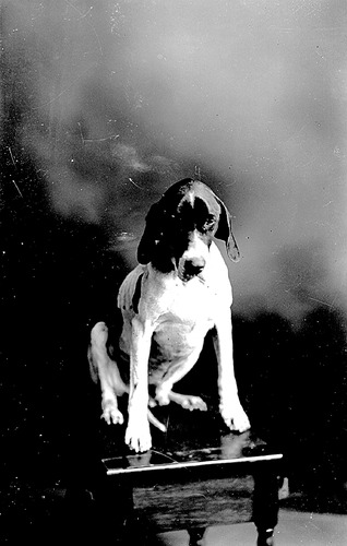 Click to see GP-99 of Moore Glass Plate Collection (GP-)