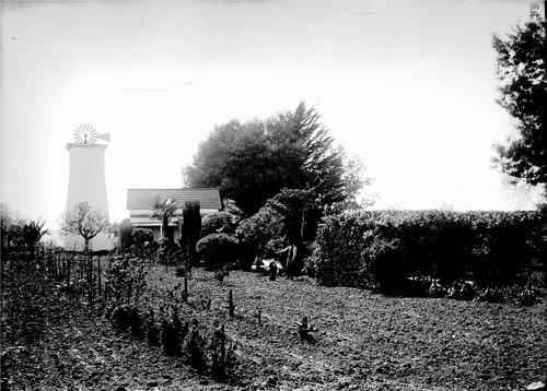 Click to see GP-111 of Moore Glass Plate Collection (GP-)