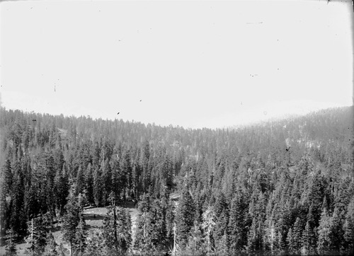 Click to see GP-146 of Moore Glass Plate Collection (GP-)