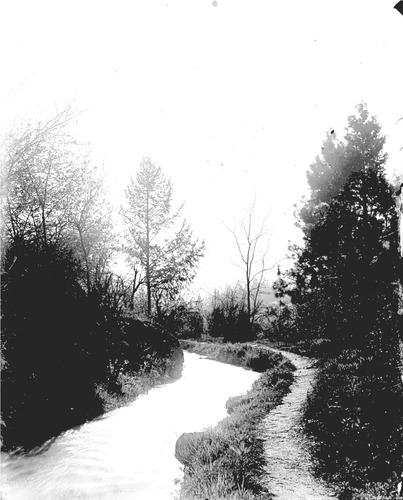 Click to see GP-163 of Moore Glass Plate Collection (GP-)