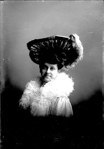 Click to see GP-215 of Moore Glass Plate Collection (GP-)
