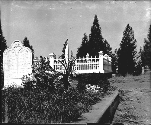 Click to see GP-317 of Moore Glass Plate Collection (GP-)