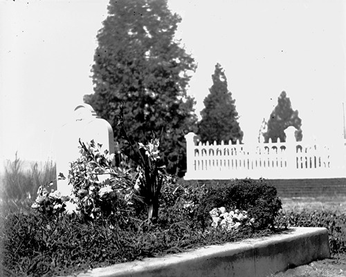 Click to see GP-318 of Moore Glass Plate Collection (GP-)
