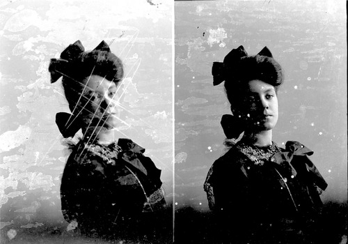 Click to see GP-336 of Moore Glass Plate Collection (GP-)