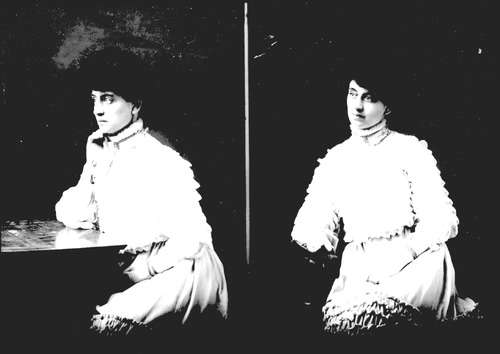 Click to see GP-369 of Moore Glass Plate Collection (GP-)