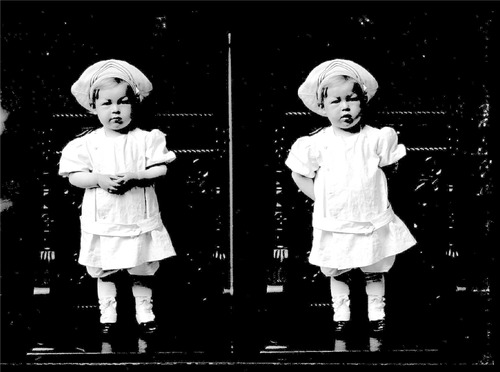 Click to see GP-508 of Moore Glass Plate Collection (GP-)