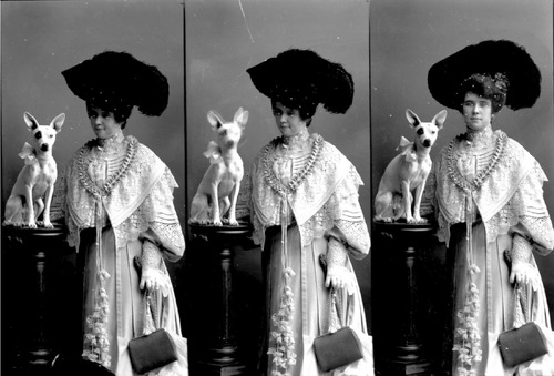 Click to see GP-528 of Moore Glass Plate Collection (GP-)