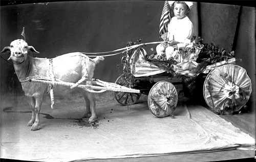 Click to see GP-727 of Moore Glass Plate Collection (GP-)
