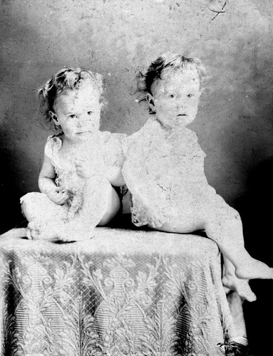 Click to see GP-1024 of Moore Glass Plate Collection (GP-)