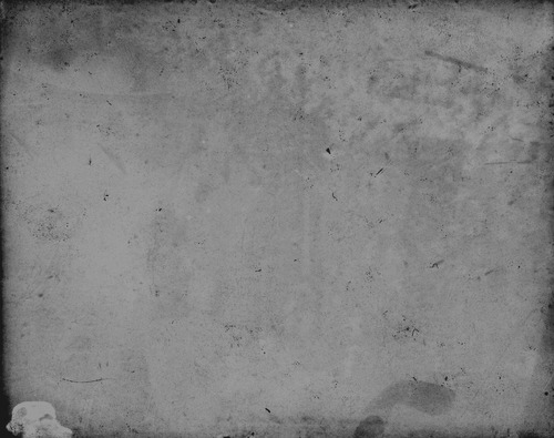 Click to see GP-1130 of Moore Glass Plate Collection (GP-)